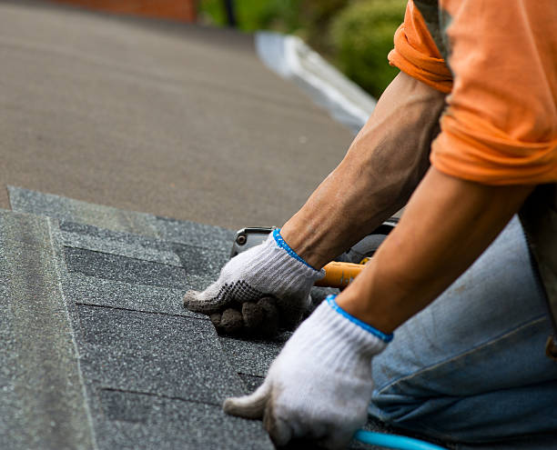 Best Asphalt Shingle Roofing  in University Place, WA